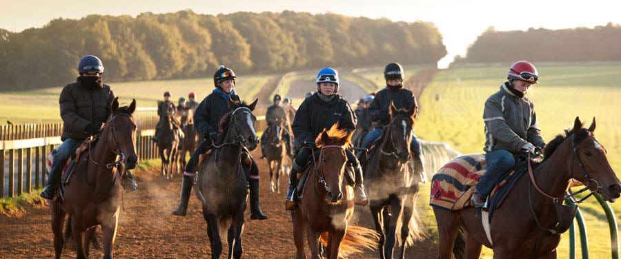 Local Area Guide The Windmill Suffolk